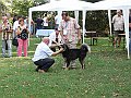 img 088